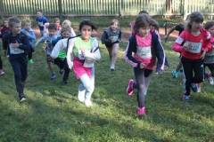 Crosslauf_2