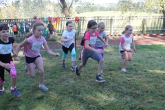 Crosslauf_3