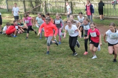 Crosslauf_4