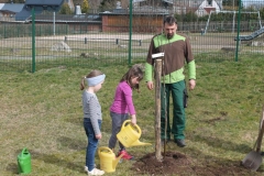 Pflanzaktion_231