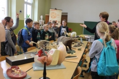 Exkursion-Oberschule2
