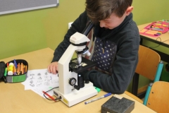 Exkursion-Oberschule4