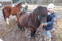 Mensch-und-Pferd