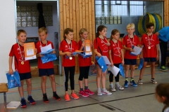 Vielseitigkeitswettbewerb-SZB-1