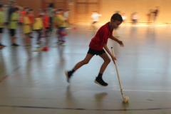Vielseitigkeit22-1