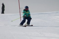 Ski Alpin