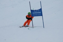 Alpin