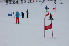 Alpin1
